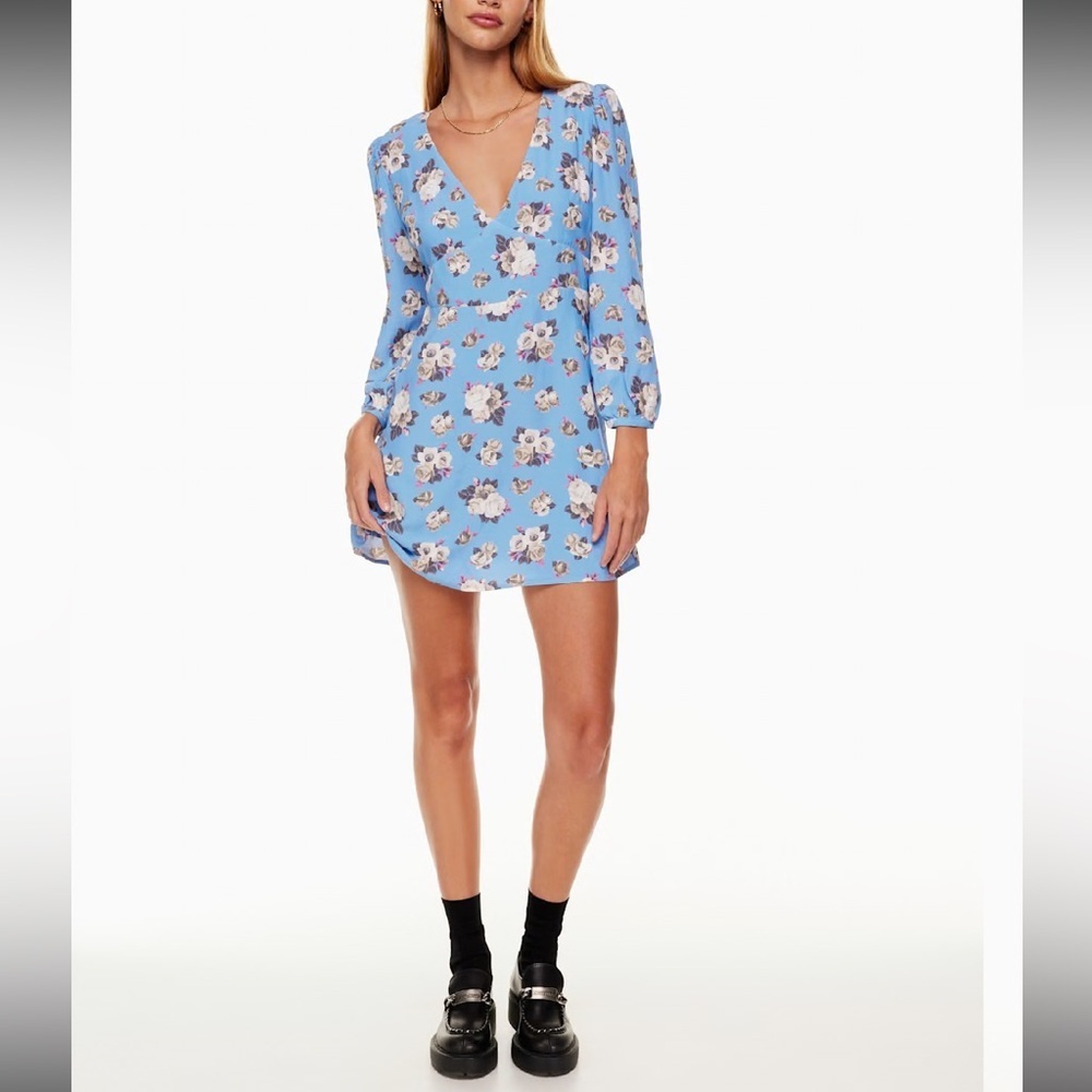 Aritzia Sunday Best Grayson V-neck Floral Mini Dress- Size 6